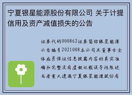 宁夏银星能源股份有限公司 关于计提信用及资产减值损失的公告